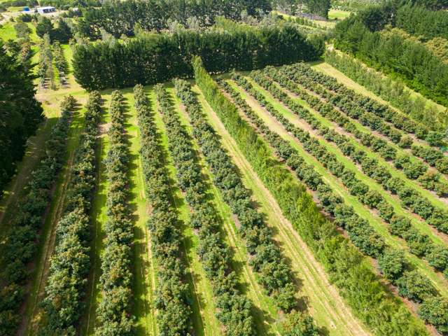 373 Kimberley Road Ngataki_1