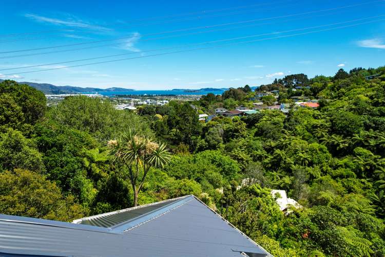 88 Pomare Road Tirohanga_10