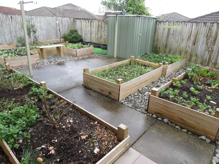 12 Lime Crescent Papakura_6