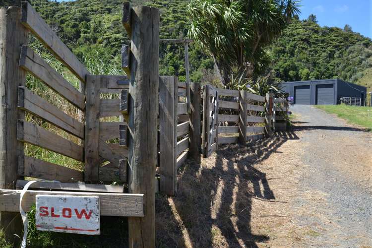 177 Te Mahoe Road Mokau_24