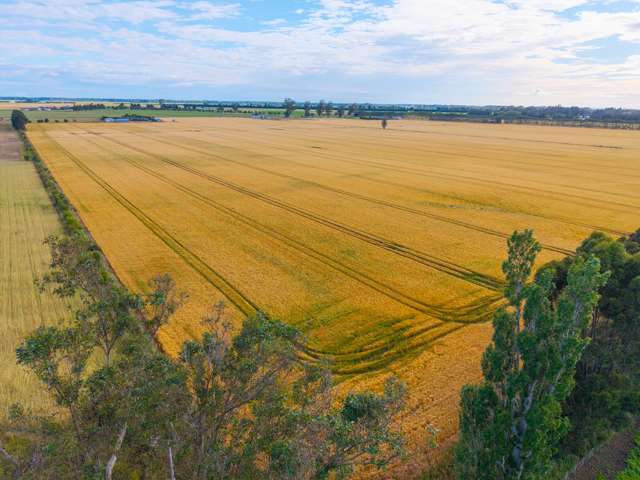 37.47 Hectares of prime irrigated cropping land