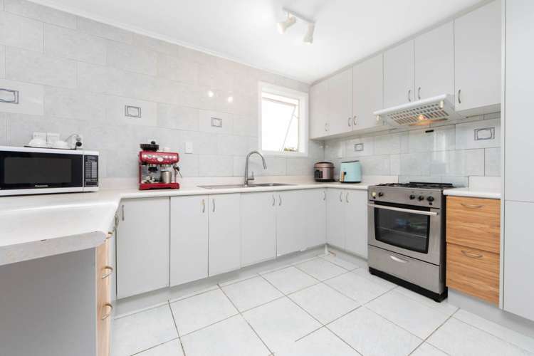 61 Albrecht Avenue Mount Roskill_8