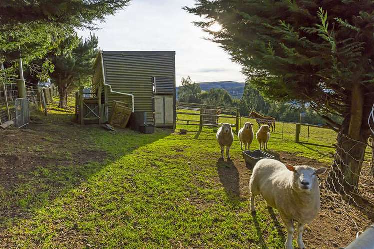 92 Dalziel Road Halfway Bush_16