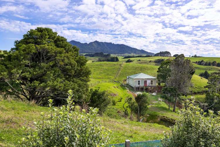 62 Cornes Road Raglan_4