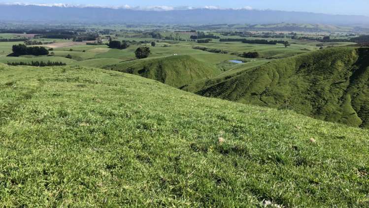 Millars Road Carterton_14