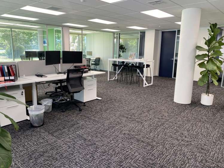 3A, 331 Rosedale Road Rosedale_1