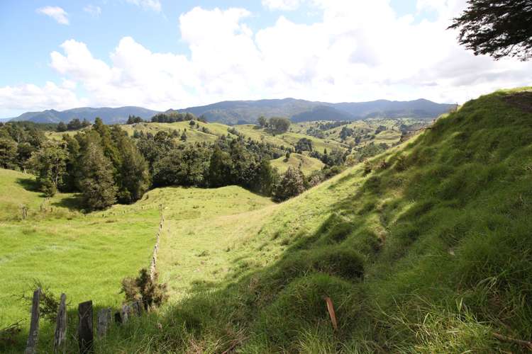 109 Paponga Road Broadwood_24