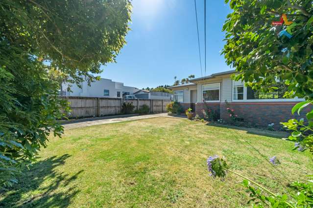 12 Tennyson Street Petone_1