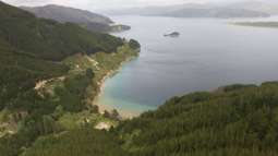 Hire a helicopter - remote bays in Marlborough Sounds up for grabs