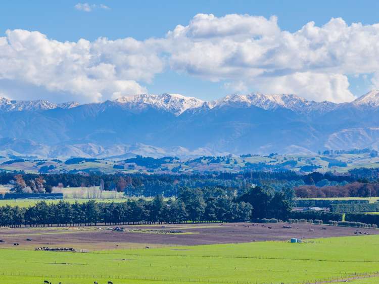 337 Ongaonga Waipukurau Road Ongaonga_6