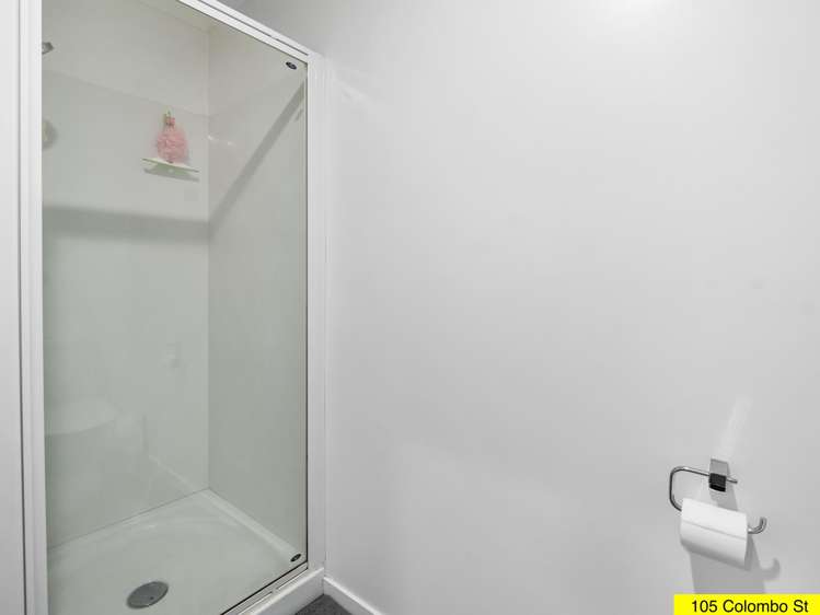 103 Colombo Street Somerfield_16