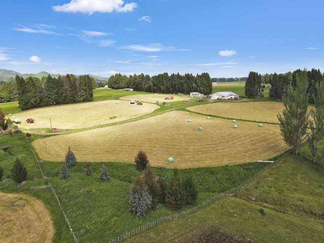 Lot 2 Raetihi Ohakune Road Ohakune_2