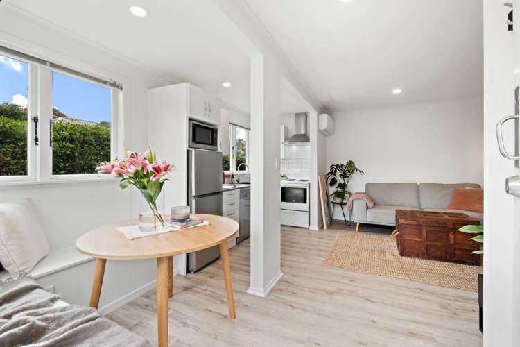 Crummer Road Grey Lynn_6