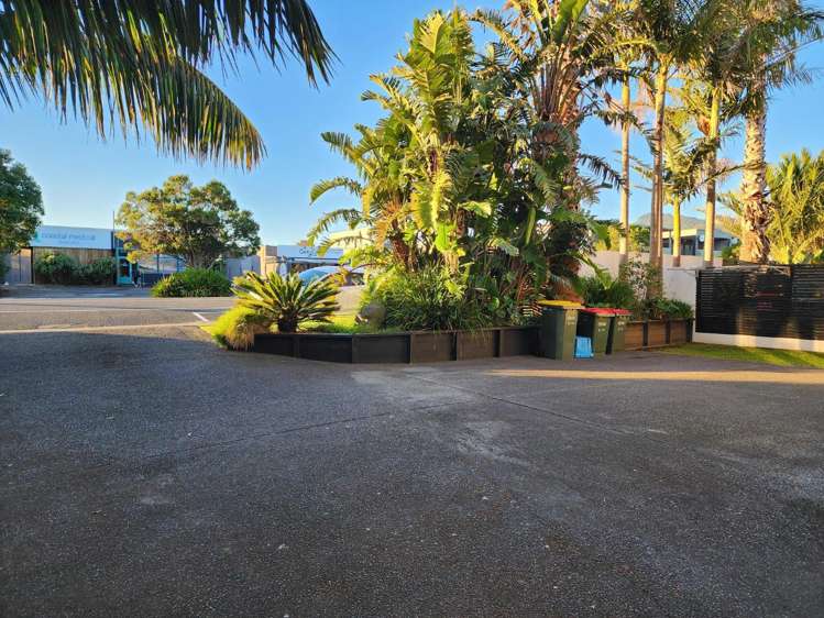2/1152a South Road Oakura_12
