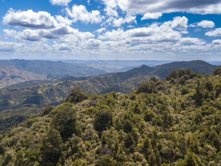 552b Cuff Road National Park_1