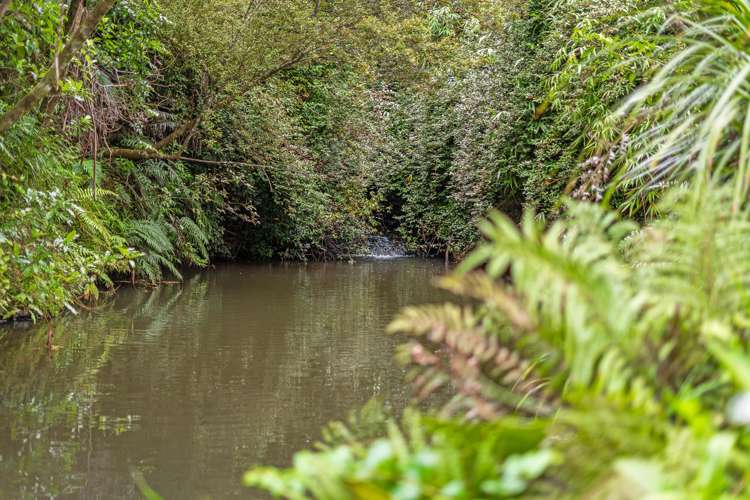 792 State Highway 1, Dome Valley Warkworth_7