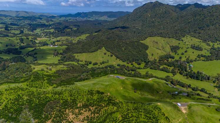 560 Diggers Valley Road Herekino_14