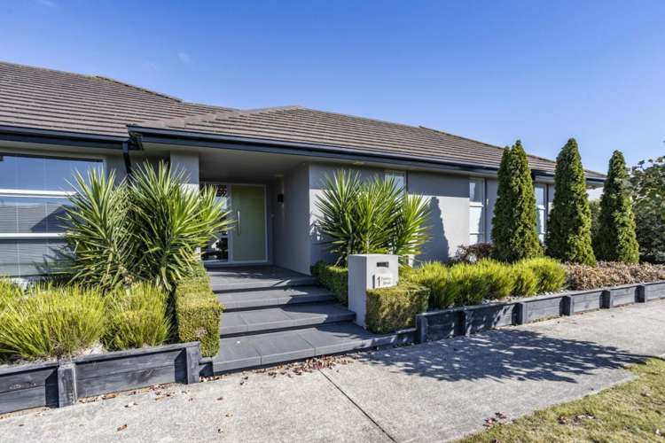 1 Tommy Street Pegasus_25