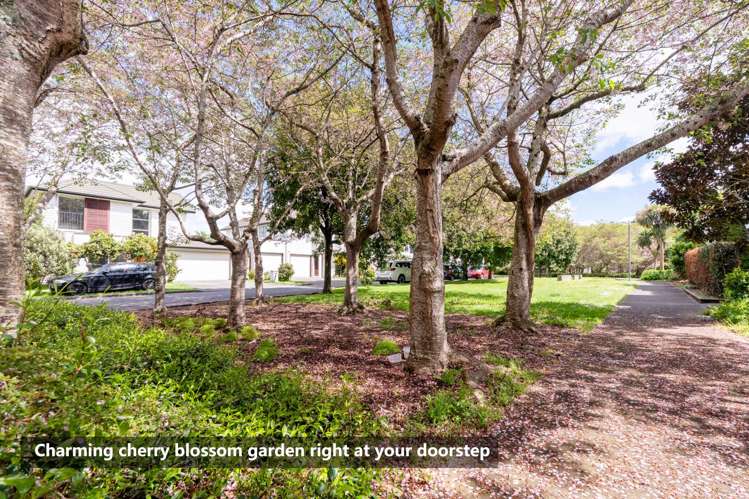 16 Phar Lap Crescent Takanini_21
