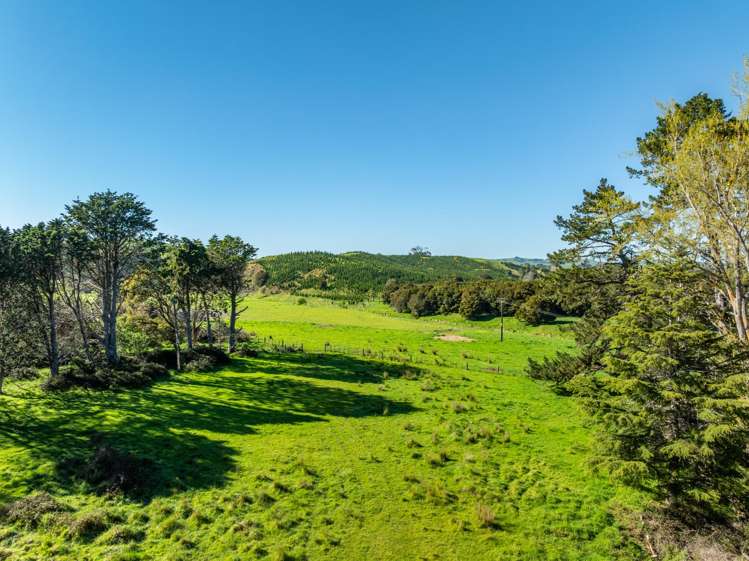8 Bush Road Wallingford_4