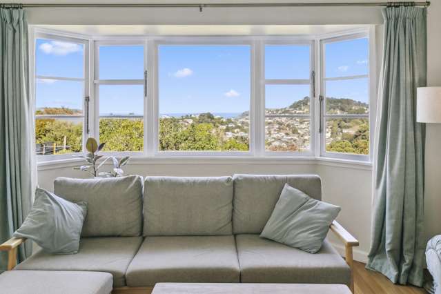 105 Rakau Road Hataitai_2