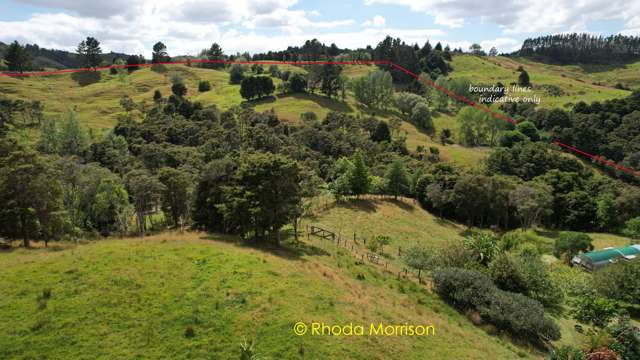 318 Franklin Road Paparoa_4