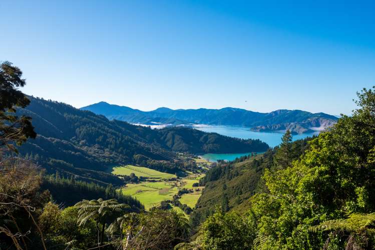 2464 Port Underwood Road Port Underwood_1