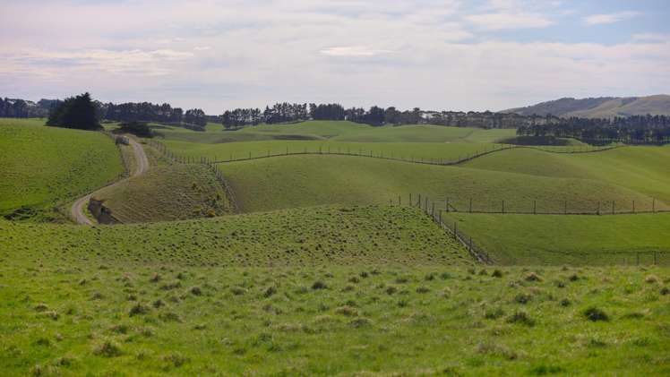 137 McLeods Road Palmerston_29