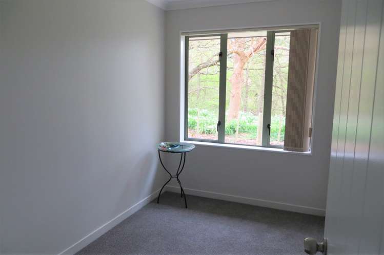 64 Ritchie Street Te Aroha_17