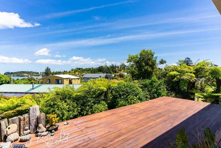 21 Ngatoto Road Tinopai_14