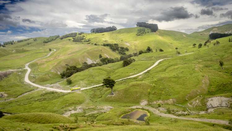 1543 Annedale Road Tinui_13