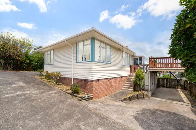 73 Webster Avenue Mount Roskill_12