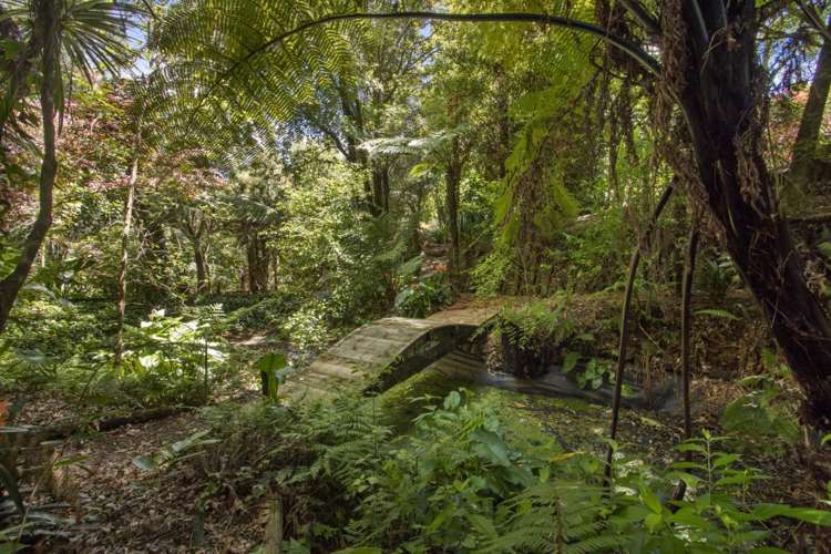 79 Bulltown Road Waihi_15