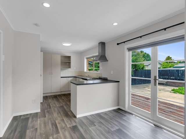 58B Nixon Street Hamilton East_3
