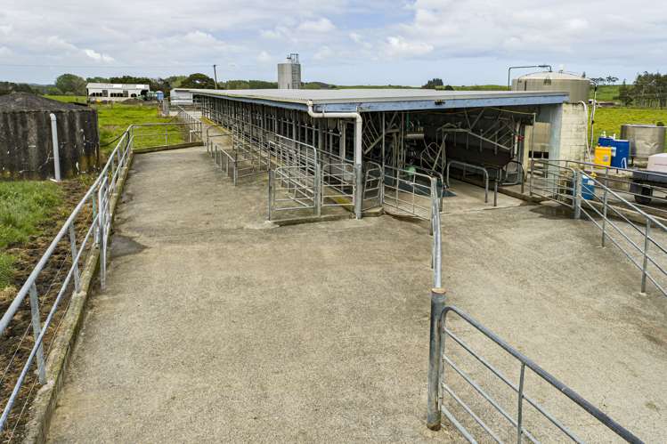 1371 Waihue Road Dargaville Surrounds_5