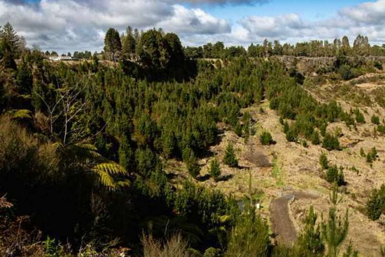 81D Middle Road Raetihi_17