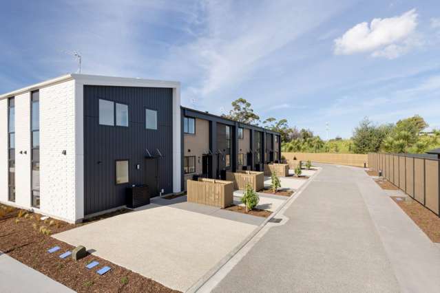 5 Te Ara Tanekaha Omokoroa_2