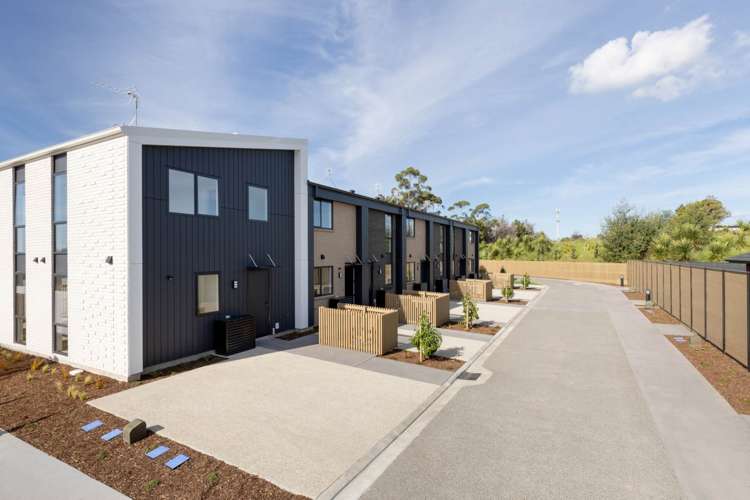 5 Te Ara Tanekaha Omokoroa_1