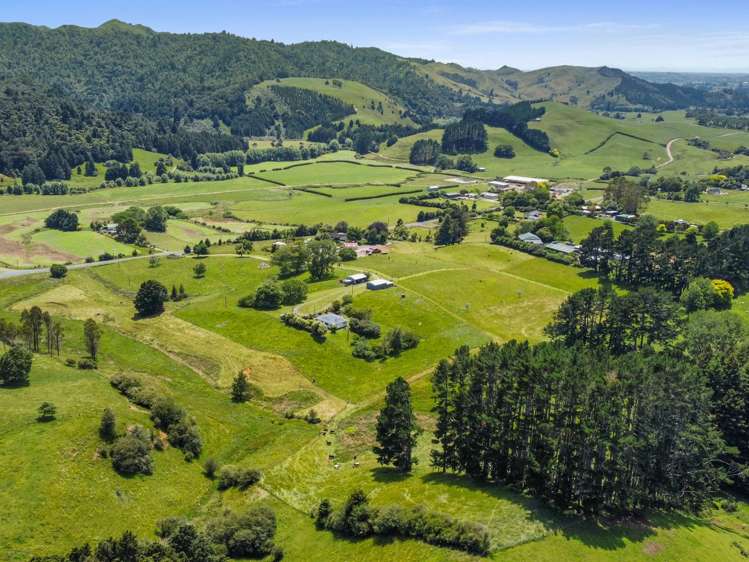 946 Limeworks Loop Road Te Pahu_24