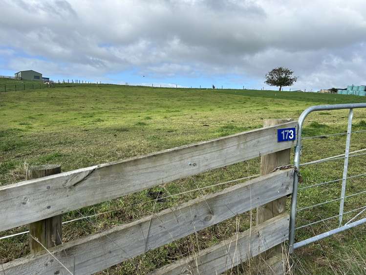 173 Ngahape Road Te Awamutu_10