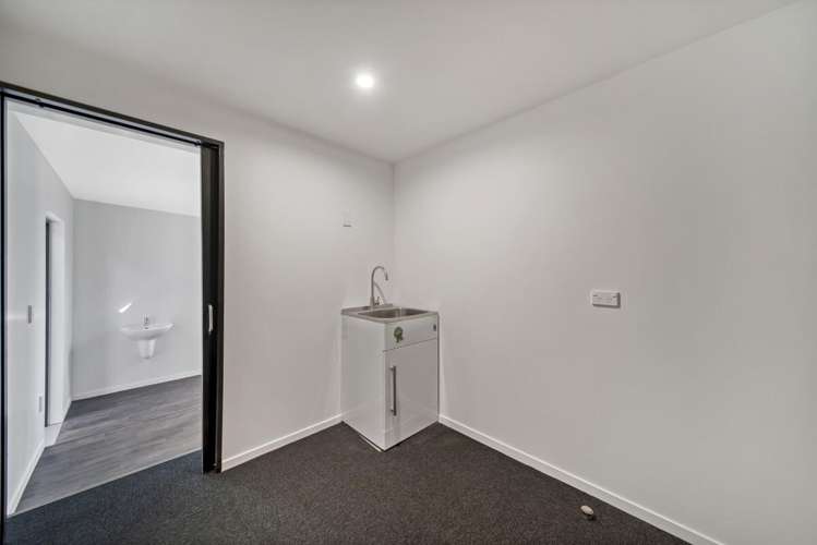 10 Coleridge Street Sydenham_15