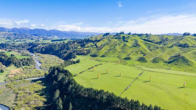 1139 Blackburn Road Ongaonga_3