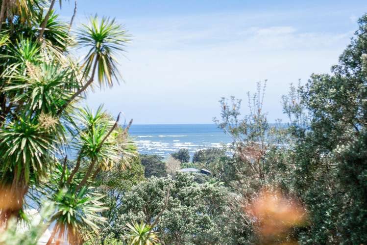 11 and 11A Kuaka Lane Ohiwa_33