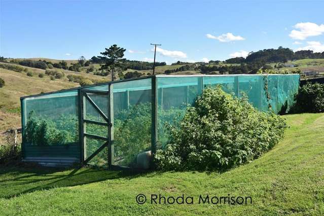 208 Heatley Road Whakapirau_4