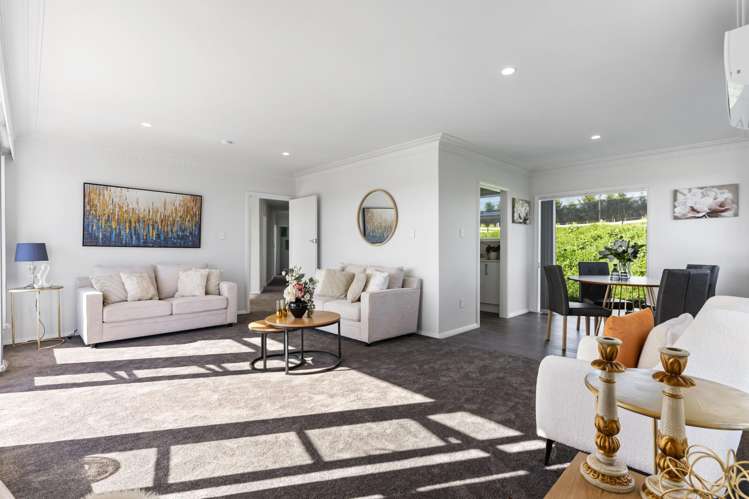 1075 Tuakau Bridge-Port Waikato Road_2