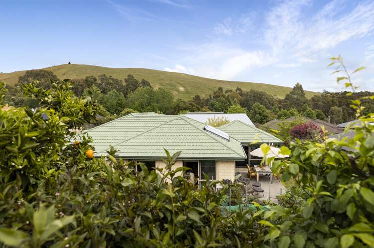 57 Forest Park Drive Witherlea_14