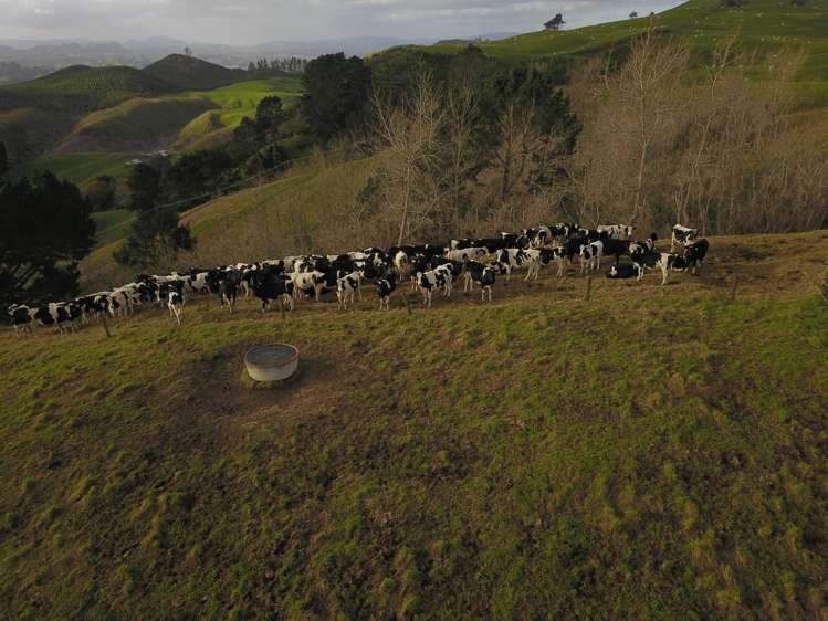 494B Dods Road Waikite Valley_31