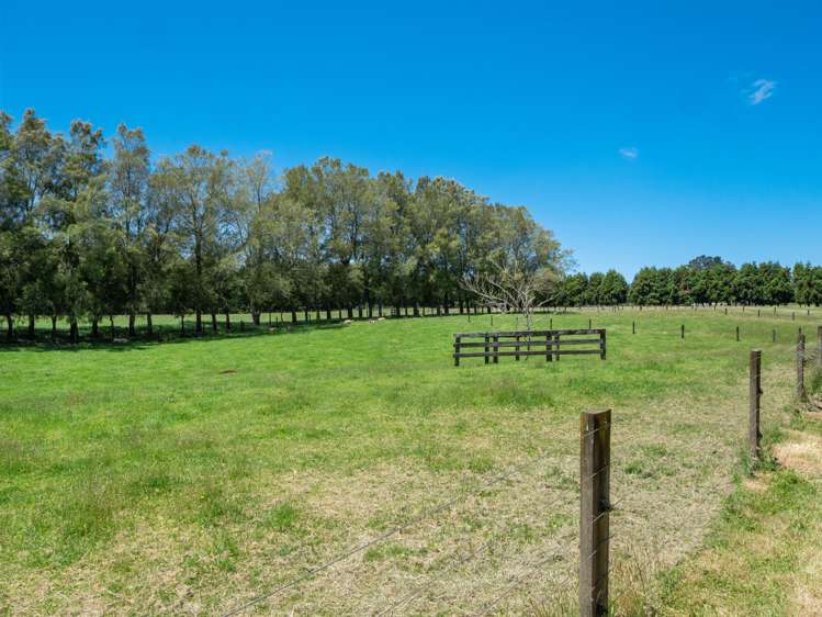 857 Mclaren Falls Road Kaimai_30