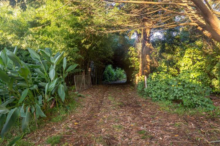 12 Glendining Road Waihua_2