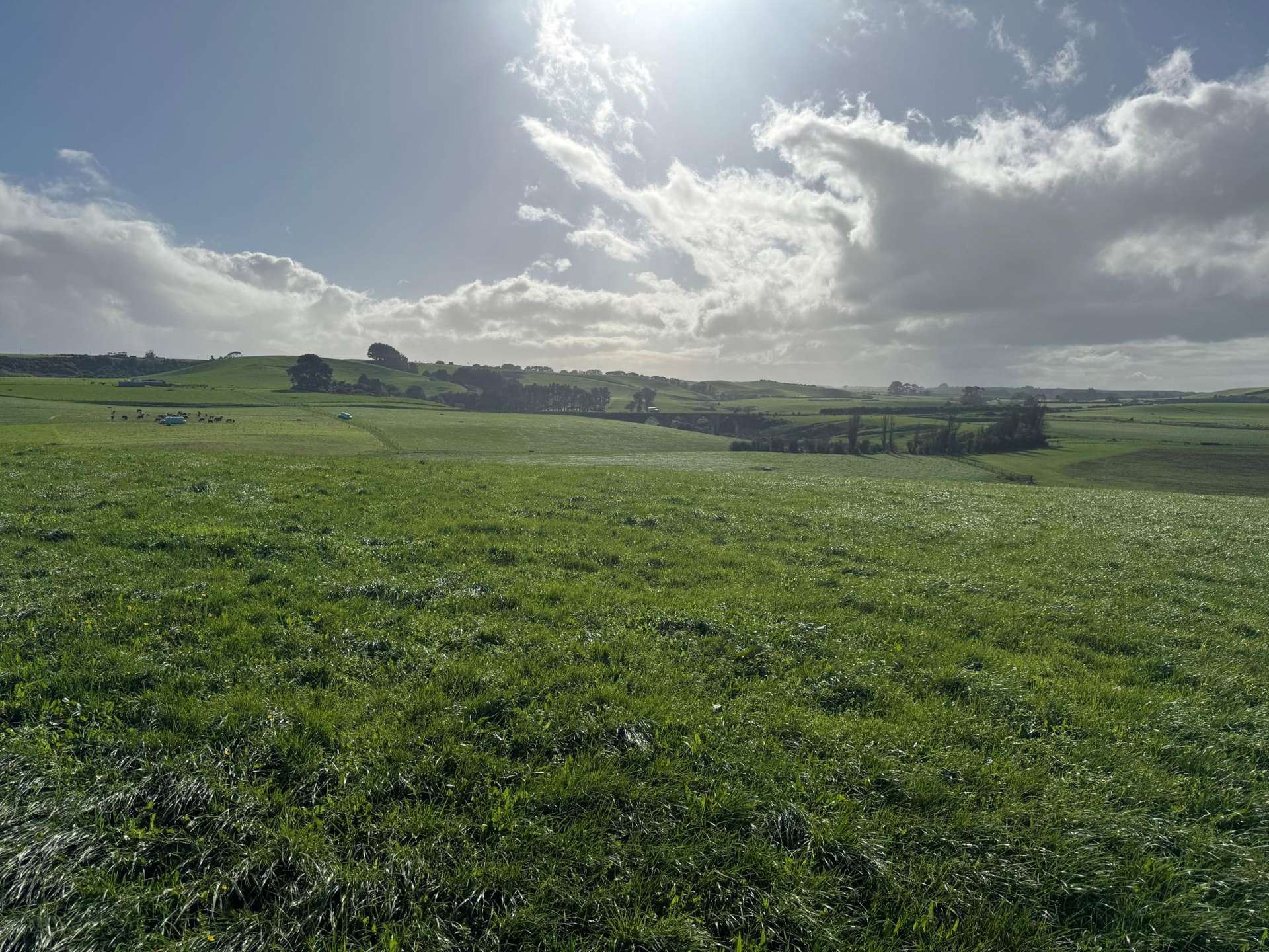 0n Skeet Road Te Roti_0